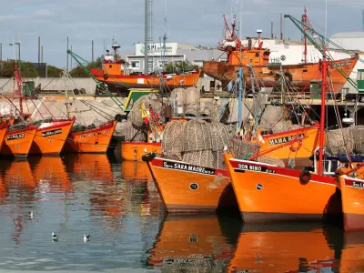 Mar del Plata: condenaron a 2 empresarios pesqueros a 4 años y medio de prisión por evasión